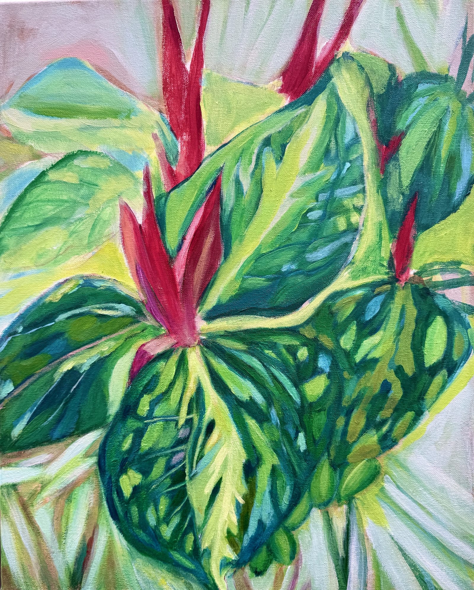 work in prgress Trilliums (2026), 12 inches x 16 inches, acrylic on canvas